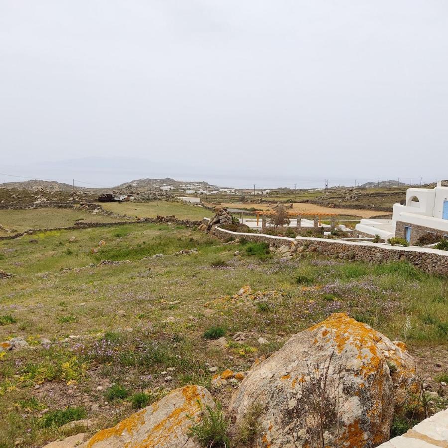 Avalon Cosy Apartments, Minimal Villas With Shared Swimming Pool Agrari (Mykonos) Exterior photo